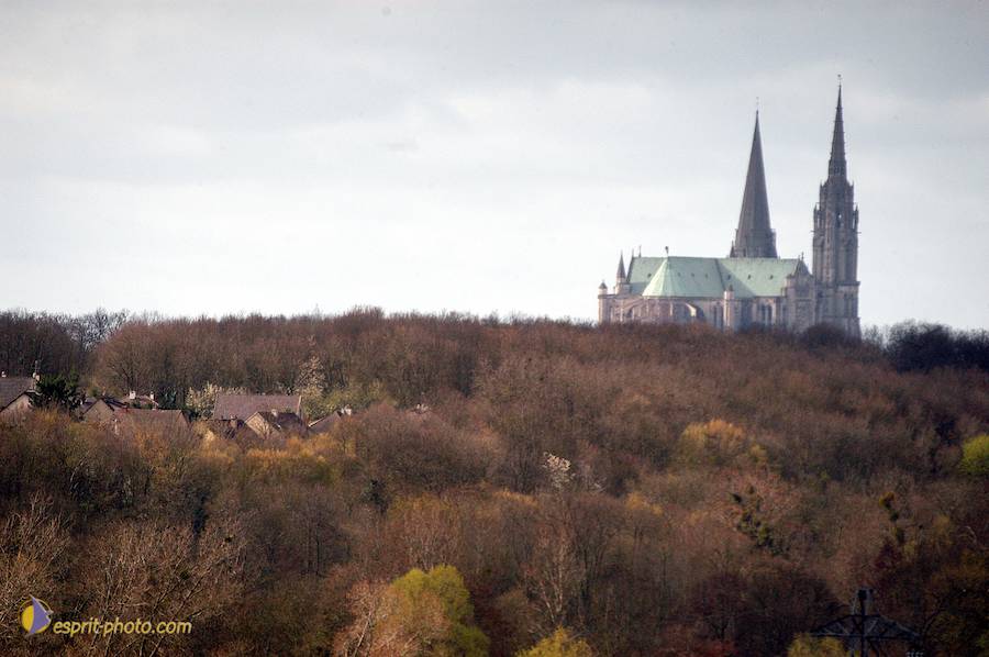 Nom de l'image : D1120185-01_(c)Norbert-JUNG — Description :  PËlerinage de Chartres 2004
