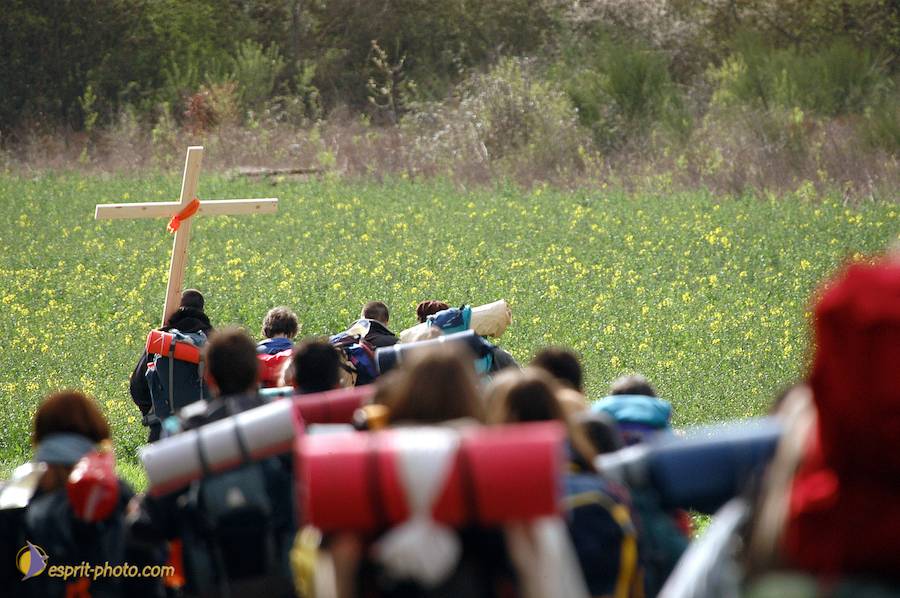 Nom de l'image : D1120210-01_(c)Norbert-JUNG — Description :  PËlerinage de Chartres 2004