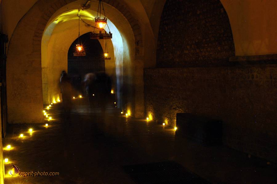 Nom de l'image : D1120655-01.jpg_(c)Norbert-JUNG — Description :