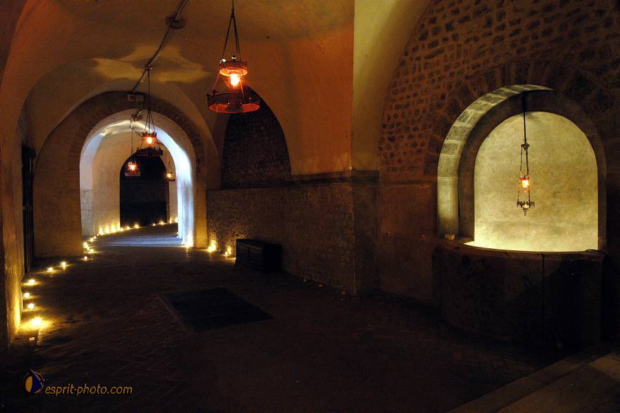 Nom de l'image : D1120666-01.jpg_(c)Norbert-JUNG — Description :