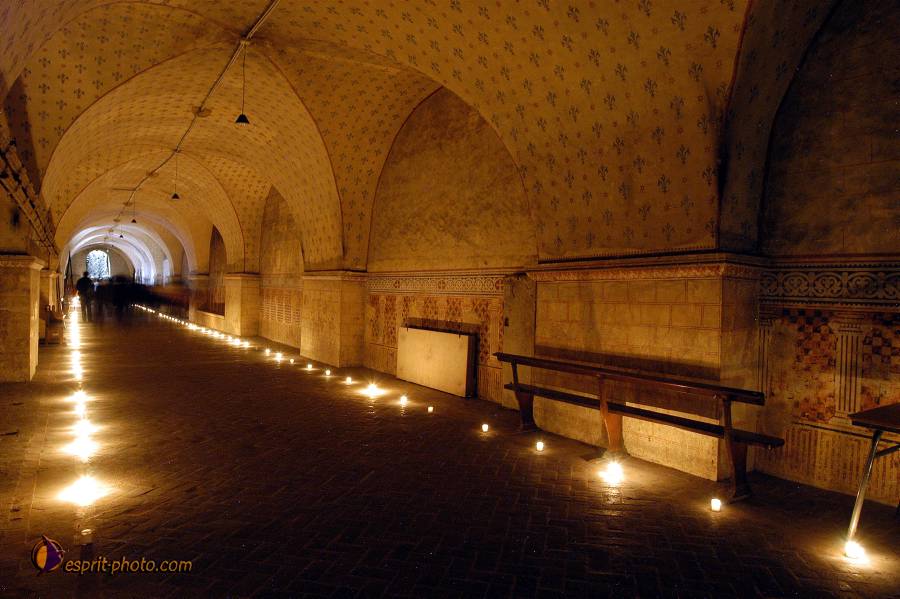 Nom de l'image : D1120672-01.jpg_(c)Norbert-JUNG — Description :