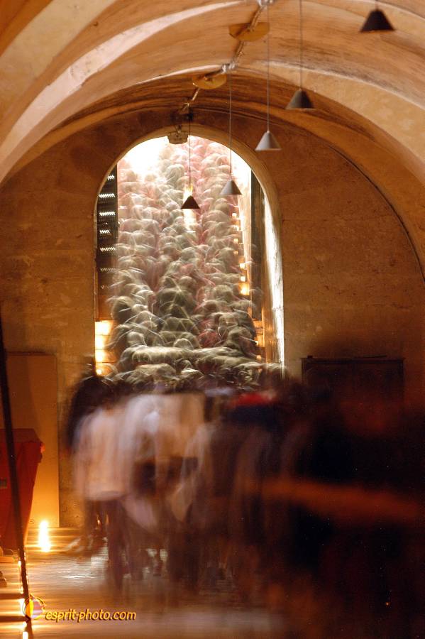 Nom de l'image : D1120688-01.jpg_(c)Norbert-JUNG — Description :