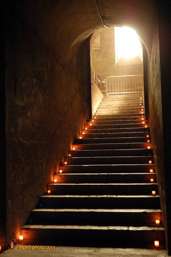 Nom de l'image : D1120734-01.jpg_(c)Norbert-JUNG — Description :