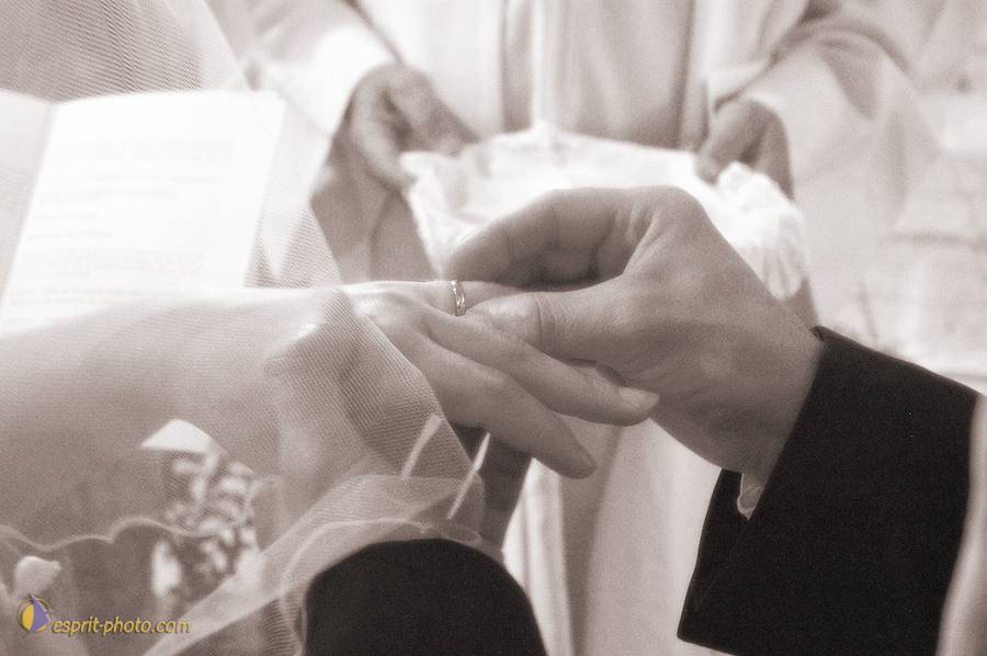 Nom de l'image : D1113950-nef-01sep_(c)Norbert-JUNG — Description :