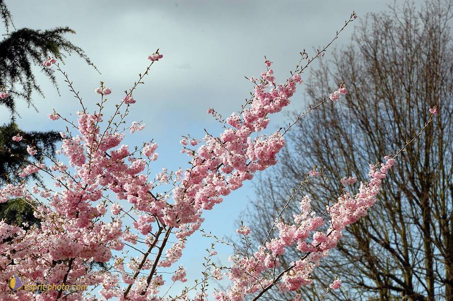 PËlerinage de Chartres 2004 ©esprit-photo.com