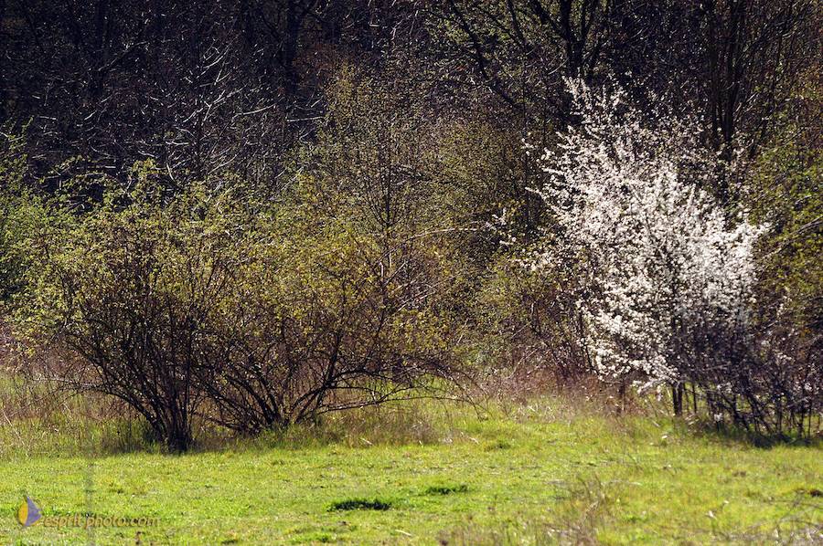 PËlerinage de Chartres 2004 ©esprit-photo.com