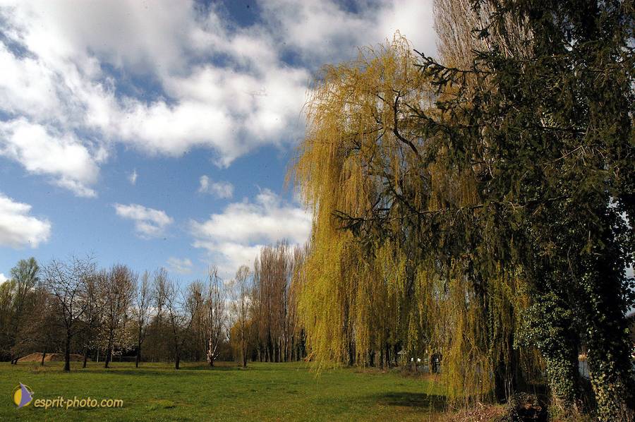 PËlerinage de Chartres 2004 ©esprit-photo.com