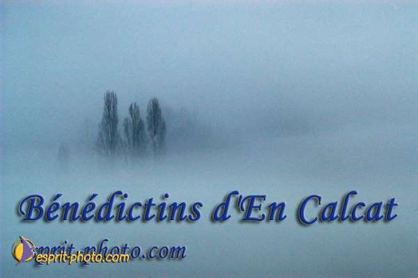 Nom de l'image : EP08-0081 — Description :