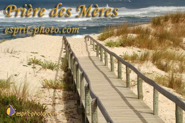 Nom de l'image : EP08-0152 — Description :