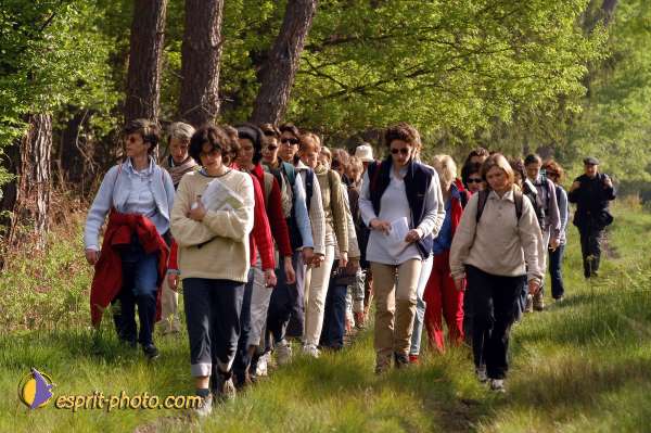 Nom de l'image : EP08-0160 — Description :