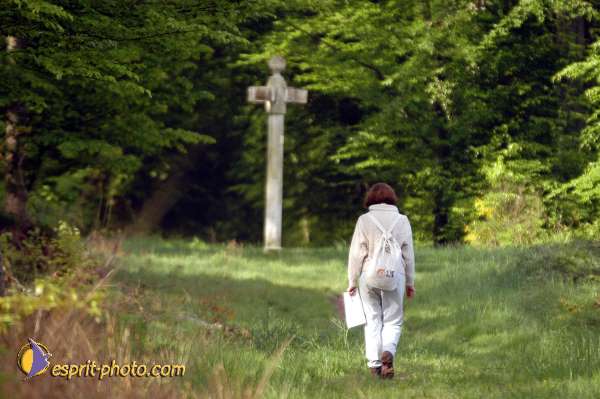 Nom de l'image : EP08-0161 — Description :