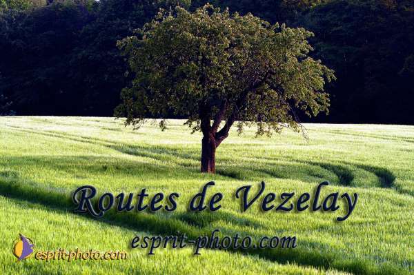 Nom de l'image : EP08-0165 — Description :