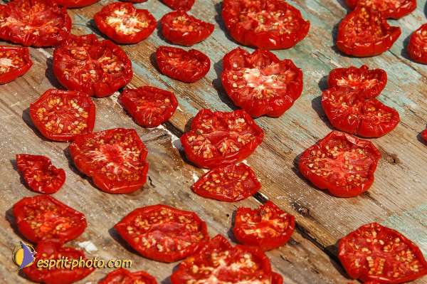 Nom de l'image : EP08-0236 — Description :  Franciscaini Rinovati à Corleone (Sicile)