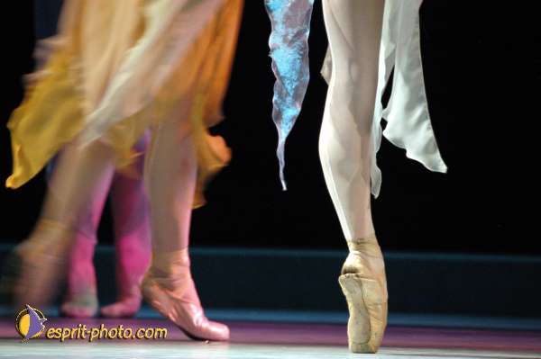 Nom de l'image : EP08-0269 — Description :