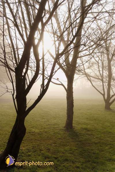 Nom de l'image : EP08-0302 — Description :