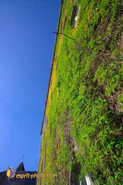 Nom de l'image : EP08-0307 — Description :