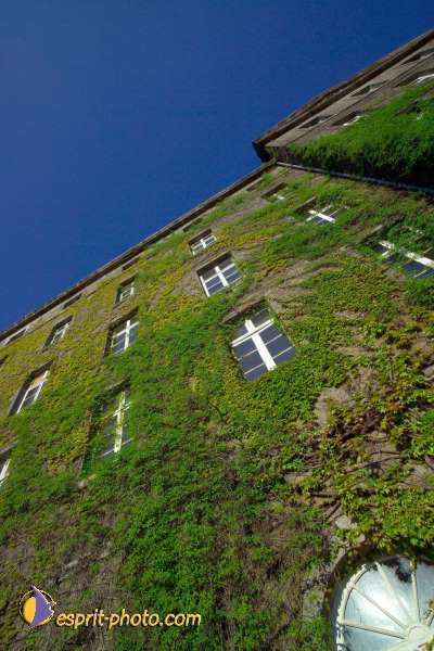 Nom de l'image : EP08-0308 — Description :