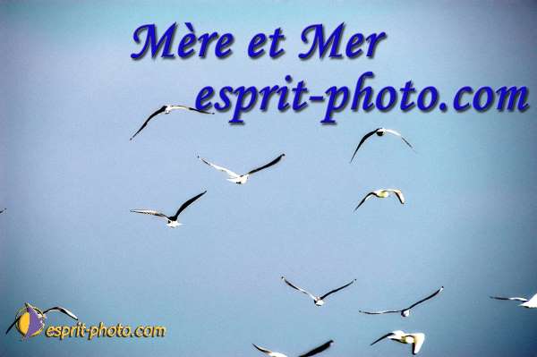 Nom de l'image : EP08-0309 — Description :