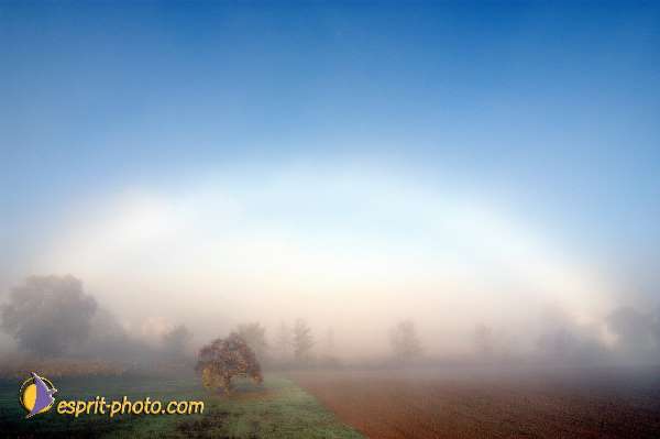 Nom de l'image : EP08-0332 — Description :