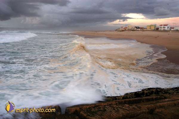 Nom de l'image : EP08-0350 — Description :  Vagues (Atlantique - Portugal - Dunes de la Costa do Prata)