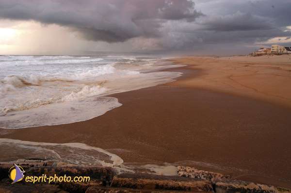 Nom de l'image : EP08-0351 — Description :  Vagues (Atlantique - Portugal - Dunes de la Costa do Prata)