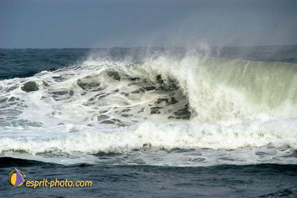 Nom de l'image : EP08-0359 — Description :  Vagues (Atlantique - Portugal - Dunes de la Costa do Prata)