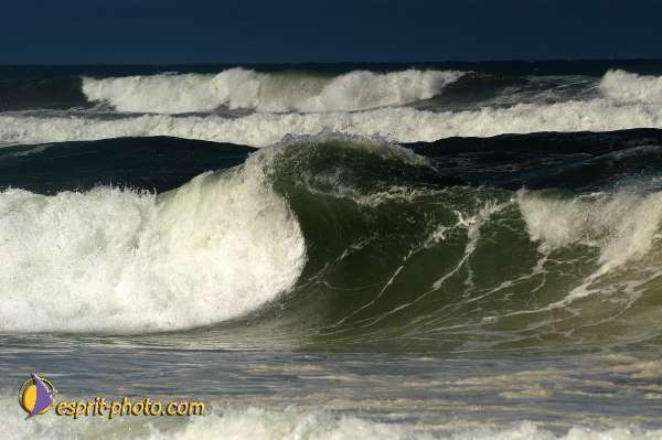 Nom de l'image : EP08-0368 — Description :  Vagues (Atlantique - Portugal - Costa do Prata)