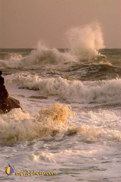 Nom de l'image : EP08-0372 — Description :  Vagues à Sabaudia (Latina-Italie)