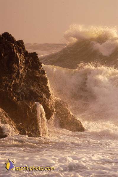 Nom de l'image : EP08-0373 — Description :  Vagues à Sabaudia (Latina-Italie)