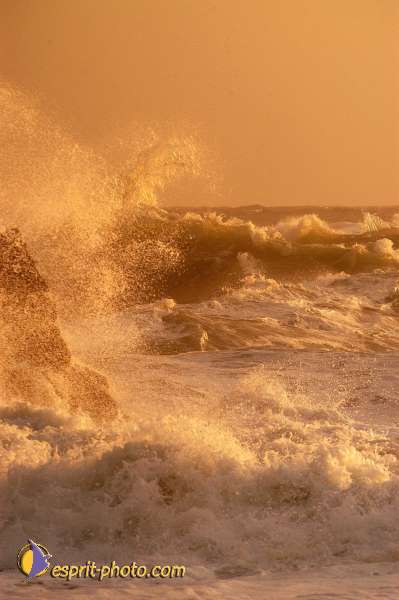 Nom de l'image : EP08-0375 — Description :  Vagues à Sabaudia (Latina-Italie)