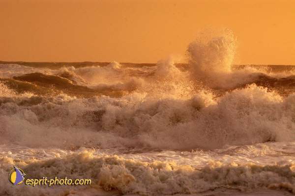 Nom de l'image : EP08-0376 — Description :  Vagues à Sabaudia (Latina-Italie)
