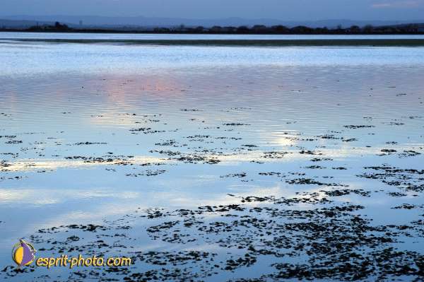 Nom de l'image : EP08-0395 — Description :