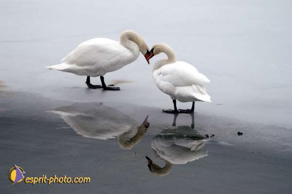 Nom de l'image : EP08-0400 — Description :