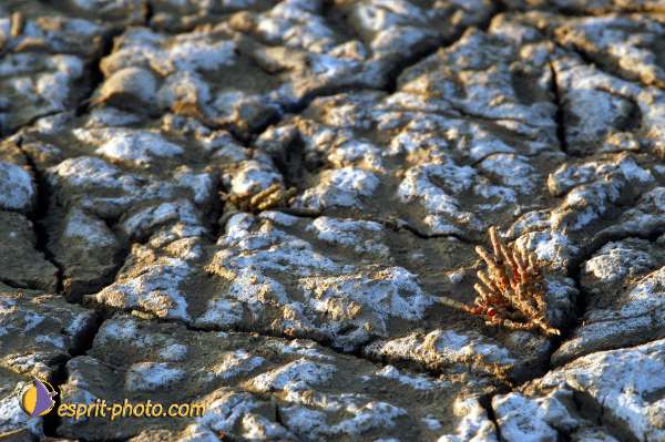 Nom de l'image : EP08-0402 — Description :