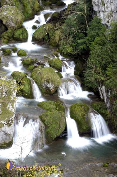 Nom de l'image : EP08-0405 — Description :