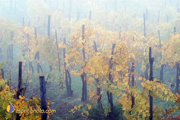 Nom de l'image : EP08-0409 — Description :