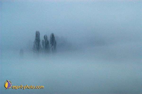 Nom de l'image : EP08-0410 — Description :