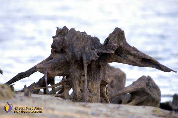 Nom de l'image : Fond_D_Ecran_D1007059-01 — Description :