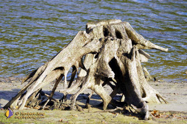 Nom de l'image : Fond_D_Ecran_D1007090-01 — Description :