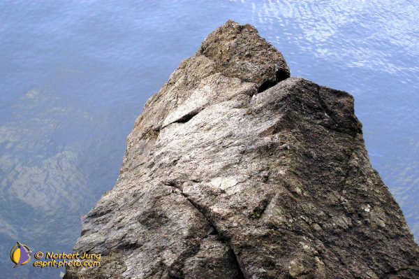 Nom de l'image : Fond_D_Ecran_D1007120-01 — Description :