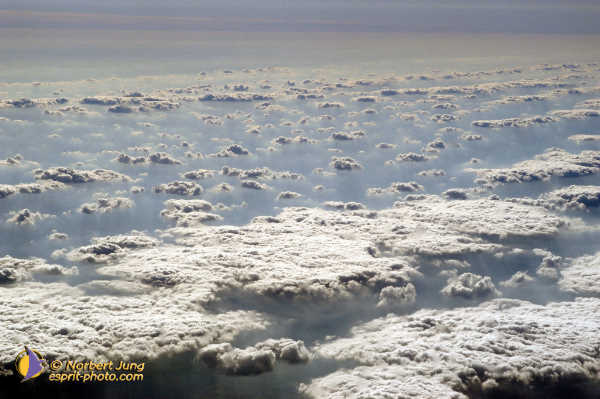 Nom de l'image : Fond_D_Ecran_D1081342-Nef — Description :