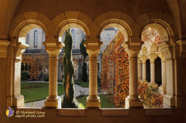 Nom de l'image : Fond_D_Ecran_D1088474-Nef-01 — Description :