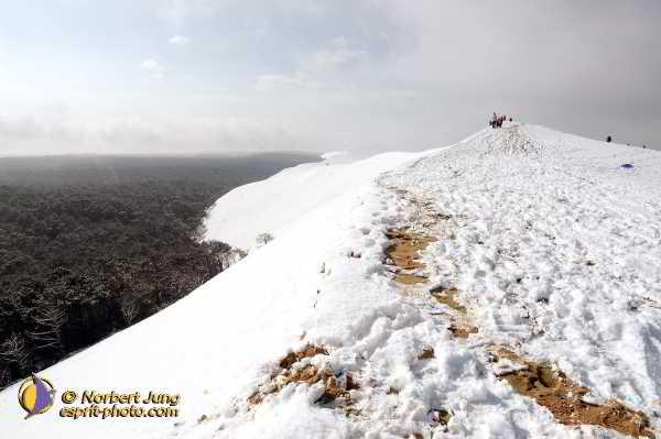 Nom de l'image : Fond_D_Ecran_D1111943-Nef-01 — Description :