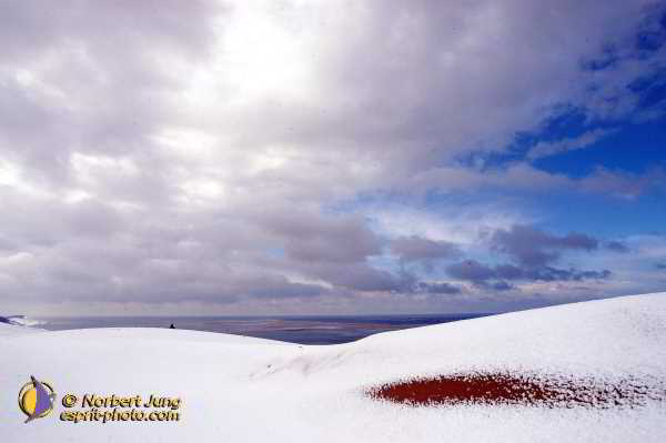 Nom de l'image : Fond_D_Ecran_D1112098-Nef-01 — Description :