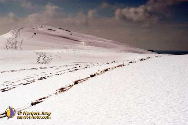 Nom de l'image : Fond_D_Ecran_D1112181-Nef-01 — Description :