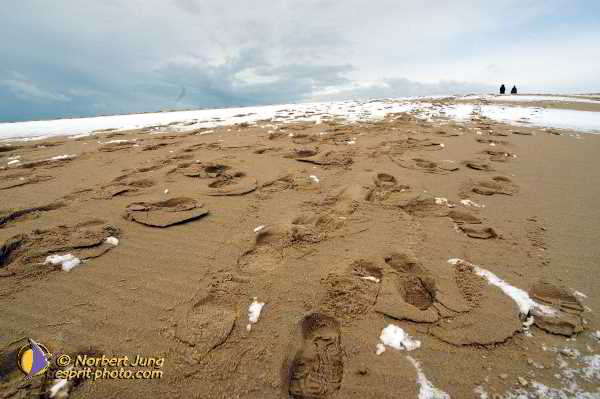 Nom de l'image : Fond_D_Ecran_D1112336-Nef-01 — Description :