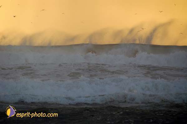 Nom de l'image : Fond_D_Ecran_Ep08-0344 — Description :