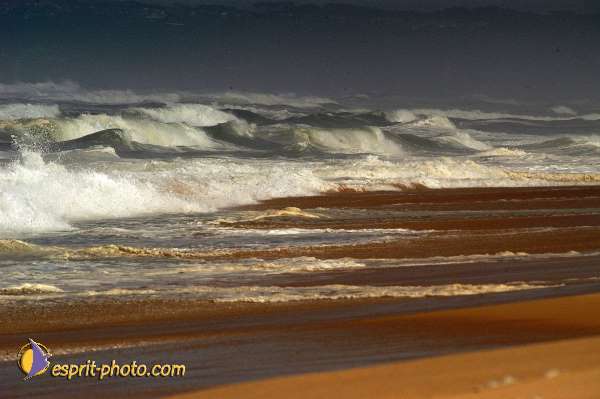 Nom de l'image : Fond_D_Ecran_Ep08-0349 — Description :