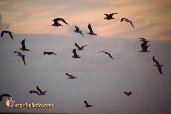 Nom de l'image : Fond_D_Ecran_Ep08-0354 — Description :