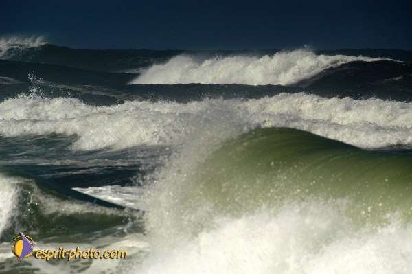 Nom de l'image : Fond_D_Ecran_Ep08-0364 — Description :